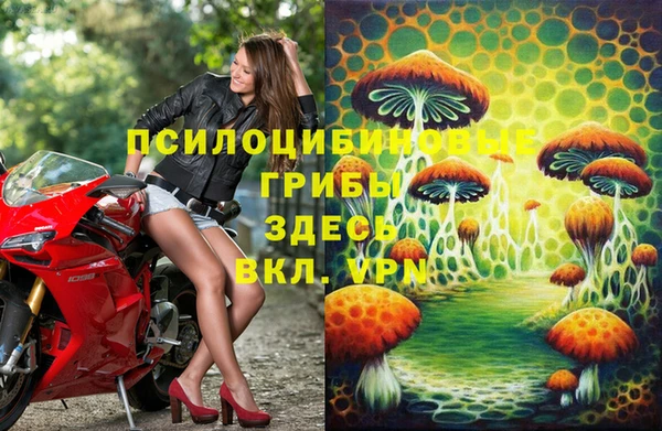экстази Богородицк