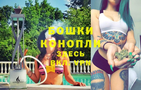 мдпв Богородск