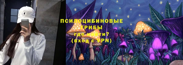 экстази Богородицк
