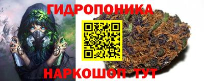 спиды Братск