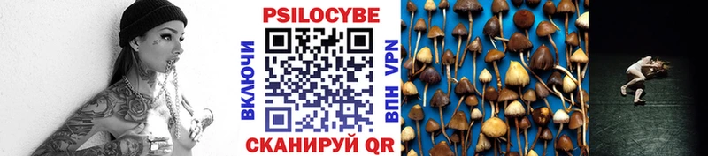 даркнет сайт  Богданович  Псилоцибиновые грибы Magic Shrooms 