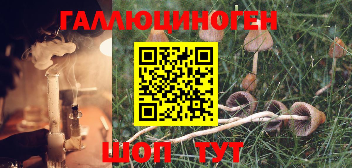 Галлюциногенные грибы GOLDEN TEACHER Богданович
