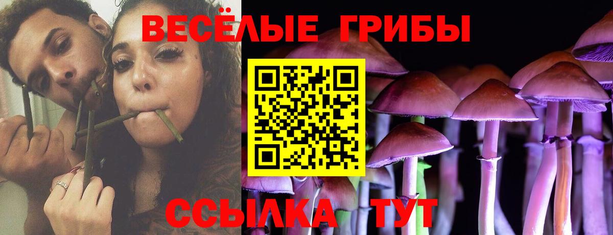 Богданович  Псилоцибиновые грибы MAGIC MUSHROOMS  Вход с VPN 